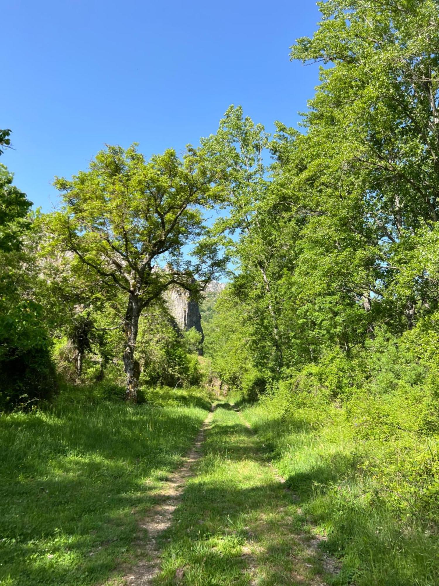 El Refugio I De Verdiago Εξωτερικό φωτογραφία